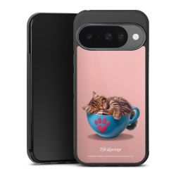 Gallery Case black