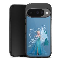 Gallery Case black