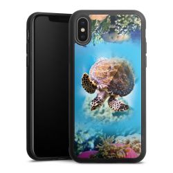 Gallery Case black