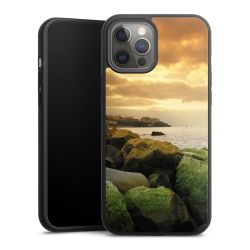 Gallery Case black