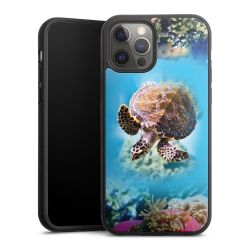 Gallery Case black