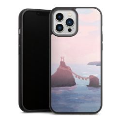 Gallery Case black