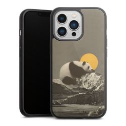 Gallery Case black