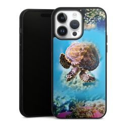 Gallery Case black