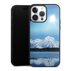 Gallery Case black