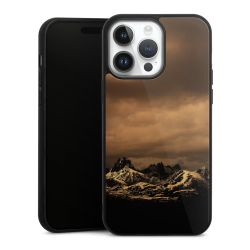 Gallery Case black