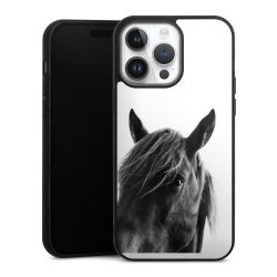 Gallery Case black