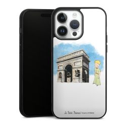 Gallery Case black