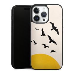 Gallery Case black