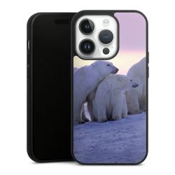 Gallery Case black