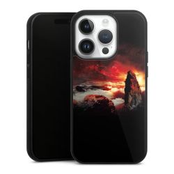 Gallery Case black