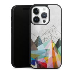 Gallery Case black