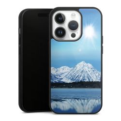 Gallery Case black