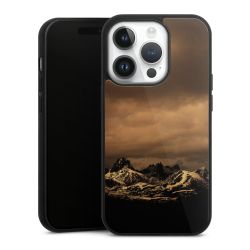 Gallery Case black