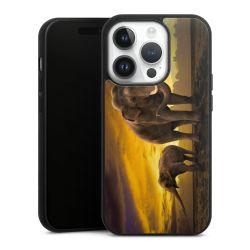 Gallery Case black