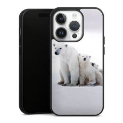 Gallery Case black