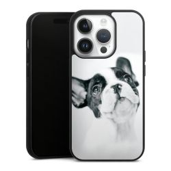 Gallery Case black