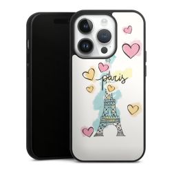 Gallery Case black