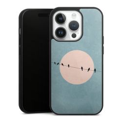 Gallery Case black