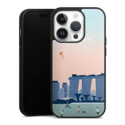 Gallery Case black