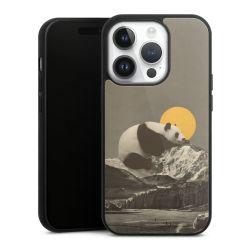 Gallery Case black