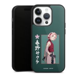 Gallery Case black