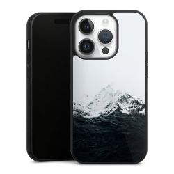 Gallery Case black