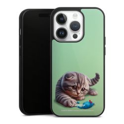 Gallery Case black