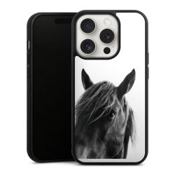 Gallery Case black