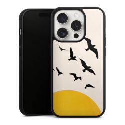 Gallery Case black