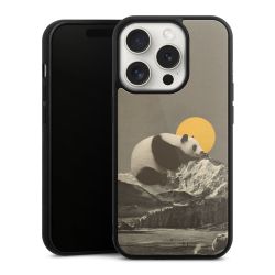 Gallery Case black