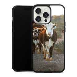 Gallery Case black