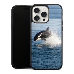 Gallery Case black