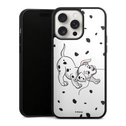 Gallery Case black