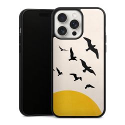 Gallery Case black