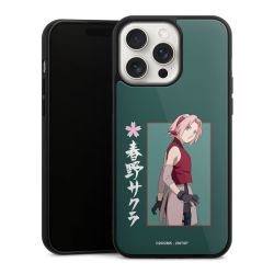 Gallery Case black