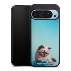 Gallery Case black