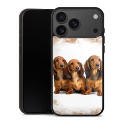 Gallery Case schwarz mit MagSafe