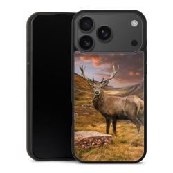 Gallery Case schwarz mit MagSafe