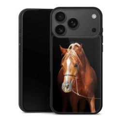 Gallery Case schwarz mit MagSafe