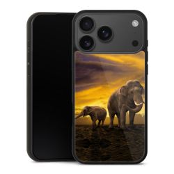 Gallery Case schwarz mit MagSafe