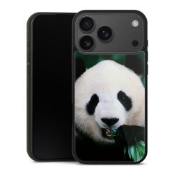 Gallery Case schwarz mit MagSafe