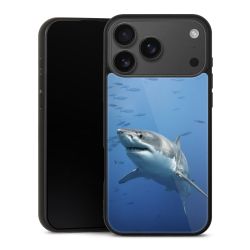 Gallery Case schwarz mit MagSafe