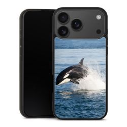 Gallery Case schwarz mit MagSafe