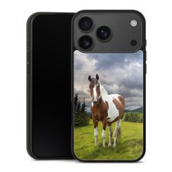 Gallery Case schwarz mit MagSafe