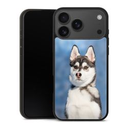 Gallery Case schwarz mit MagSafe