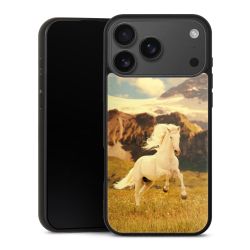 Gallery Case schwarz mit MagSafe