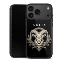 Gallery Case schwarz mit MagSafe