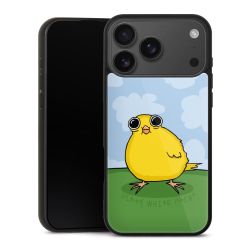 Gallery Case schwarz mit MagSafe