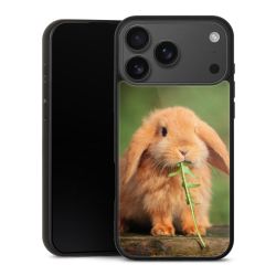 Gallery Case schwarz mit MagSafe